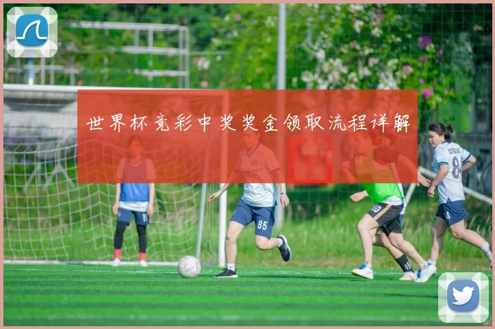 世界杯竞彩中奖奖金领取流程详解