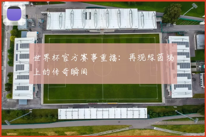 世界杯官方赛事重播:再现绿茵场上的传奇瞬间