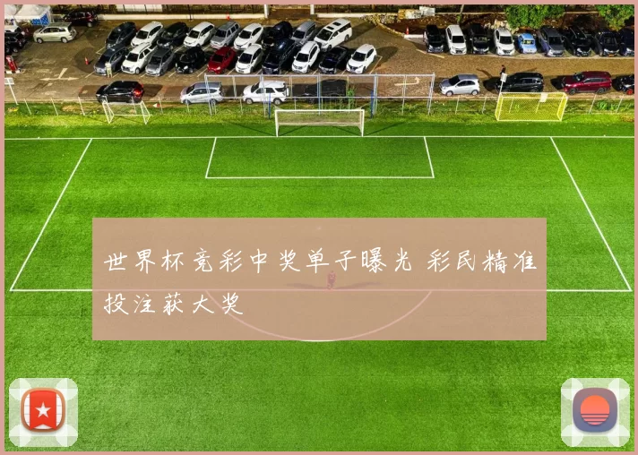 世界杯竞彩中奖单子曝光 彩民精准投注获大奖