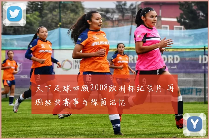 天下足球回顾2008欧洲杯纪录片 再现经典赛事与绿茵记忆