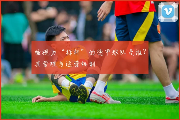 被视为“标杆”的德甲球队是谁？其管理与运营机制
