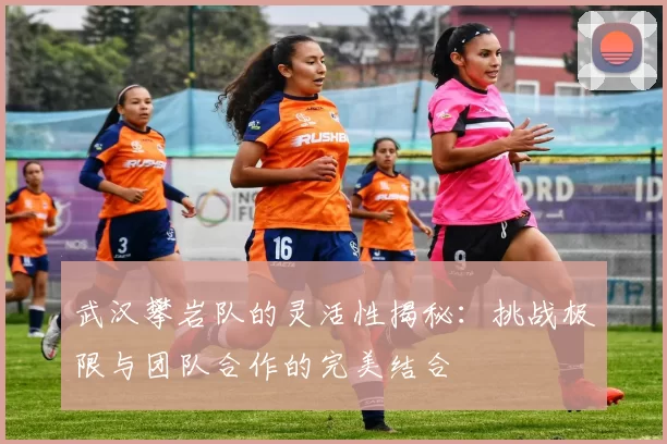 武汉攀岩队的灵活性揭秘:挑战极限与团队合作的完美结合