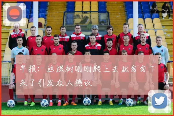 早报:这棵树刚刚爬上去就匆匆下来了引发众人热议