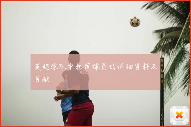英超球队中韩国球员的详细资料及贡献