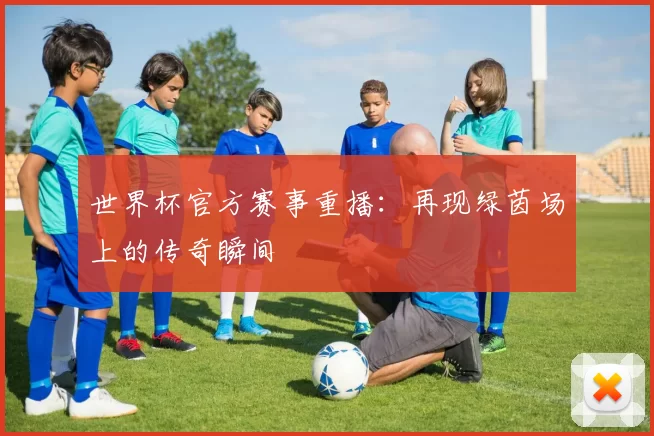 世界杯官方赛事重播:再现绿茵场上的传奇瞬间