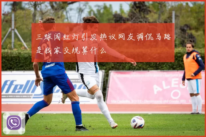 三球闯红灯引发热议网友调侃马路是我家交规算什么
