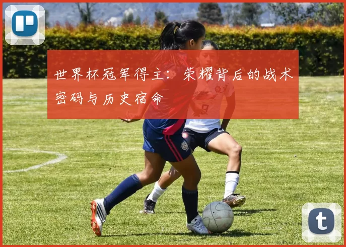 世界杯冠军得主：荣耀背后的战术密码与历史宿命