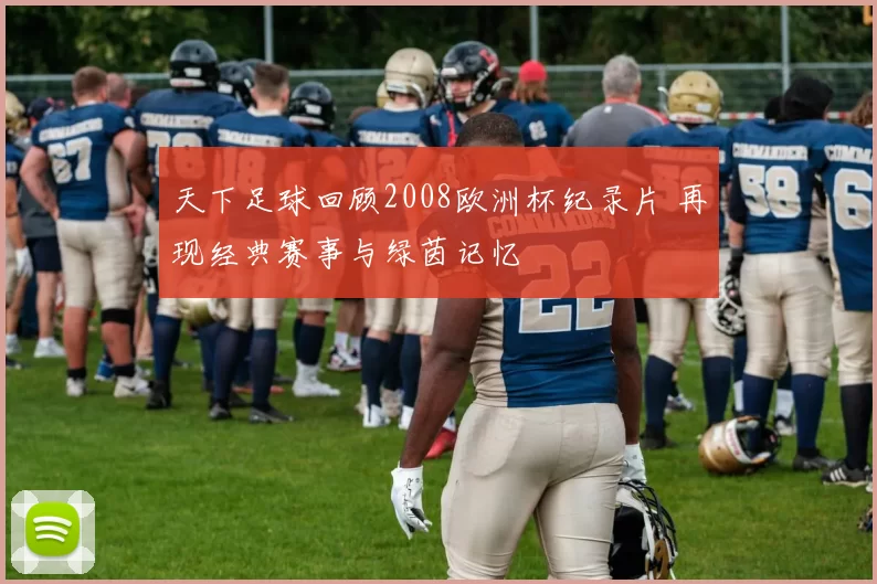 天下足球回顾2008欧洲杯纪录片 再现经典赛事与绿茵记忆
