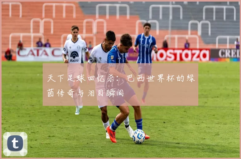 天下足球回忆杀：巴西世界杯的绿茵传奇与泪目瞬间