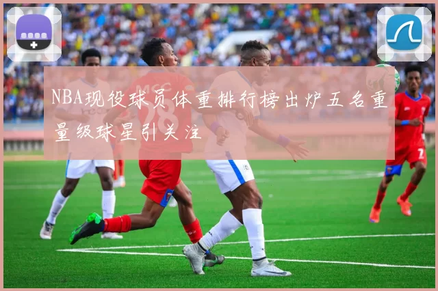 NBA现役球员体重排行榜出炉五名重量级球星引关注