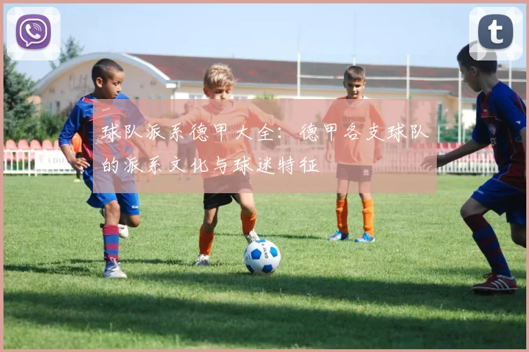 球队派系德甲大全:德甲各支球队的派系文化与球迷特征