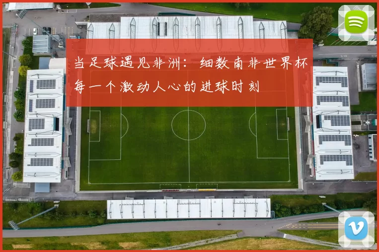 当足球遇见非洲：细数南非世界杯每一个激动人心的进球时刻
