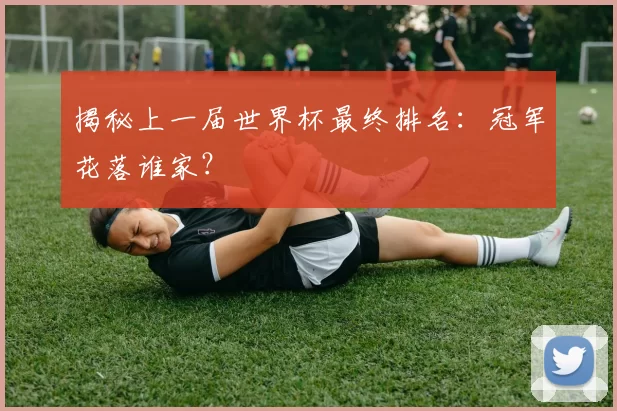 揭秘上一届世界杯最终排名：冠军花落谁家？