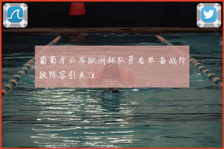 葡萄牙公布欧洲杯队员名单 备战阶段阵容引关注