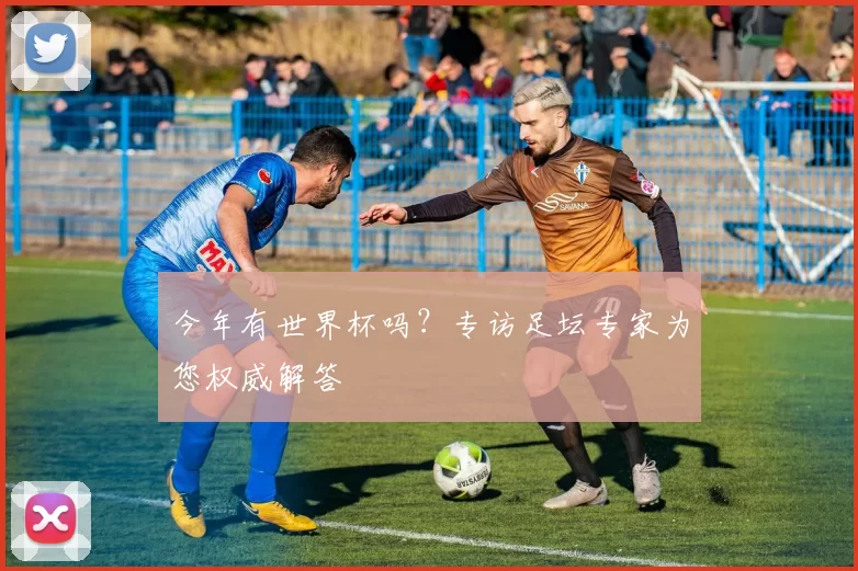 今年有世界杯吗？专访足坛专家为您权威解答