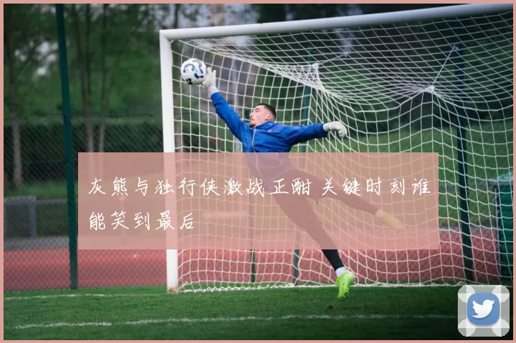 灰熊与独行侠激战正酣 关键时刻谁能笑到最后