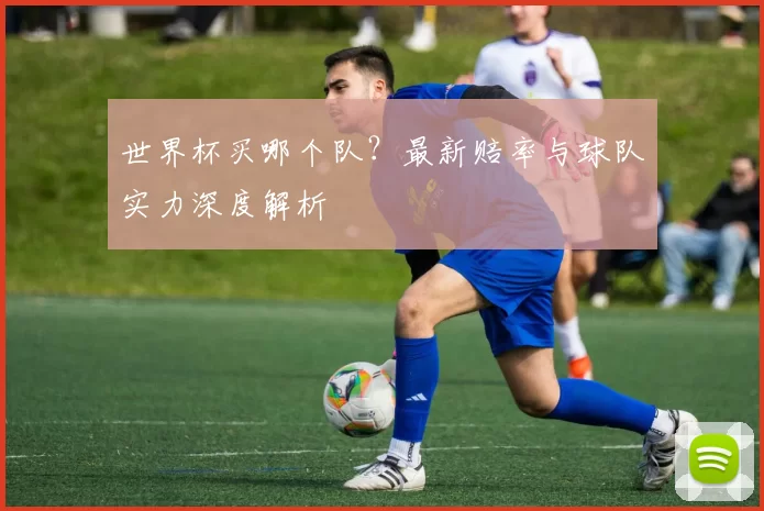 世界杯买哪个队？最新赔率与球队实力深度解析