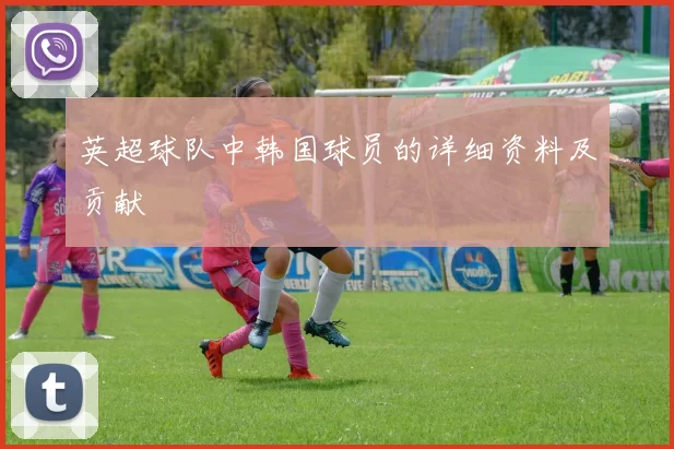 英超球队中韩国球员的详细资料及贡献
