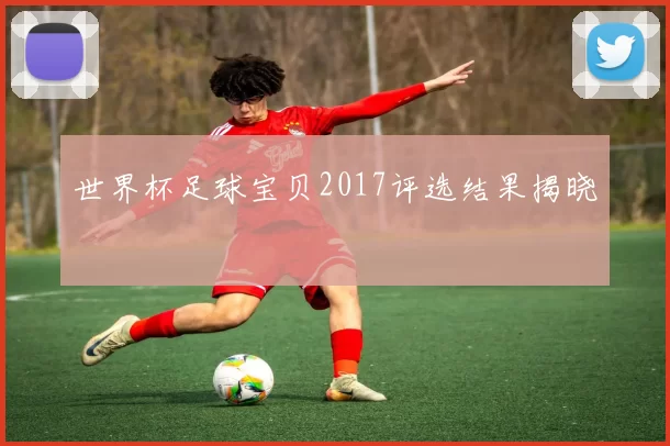 世界杯足球宝贝2017评选结果揭晓