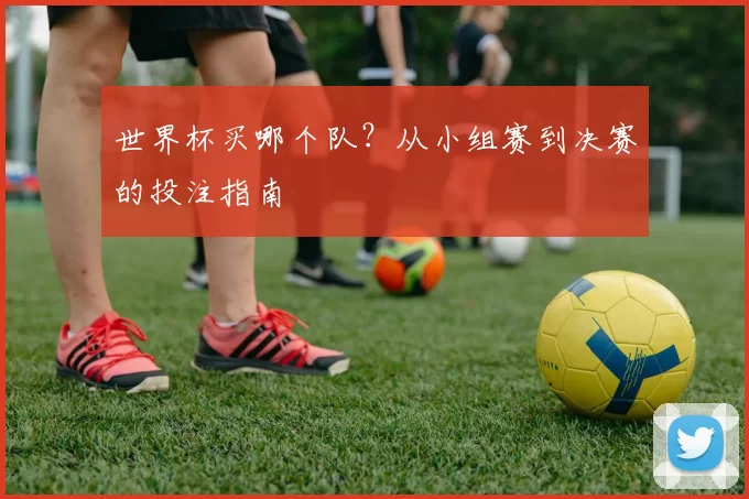 世界杯买哪个队？从小组赛到决赛的投注指南