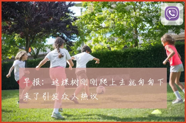 早报：这棵树刚刚爬上去就匆匆下来了引发众人热议