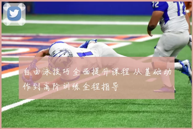 自由泳技巧全面提升课程 从基础动作到高阶训练全程指导