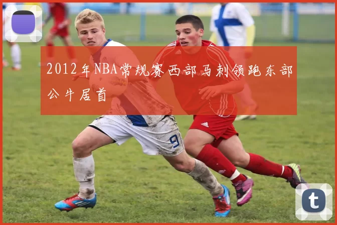 2012年NBA常规赛西部马刺领跑东部公牛居首