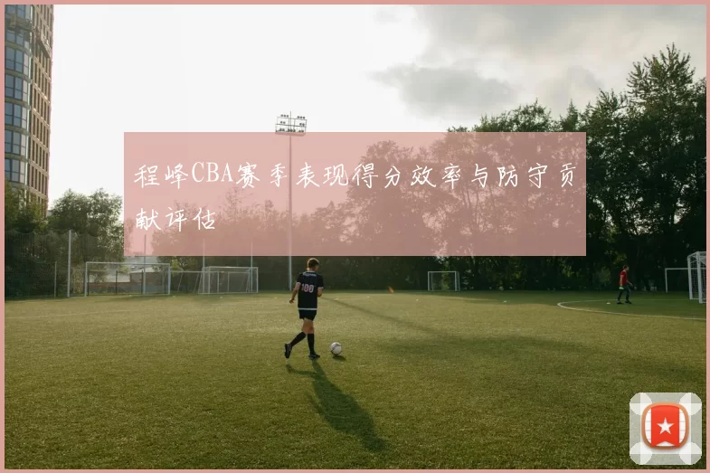 程峰CBA赛季表现得分效率与防守贡献评估