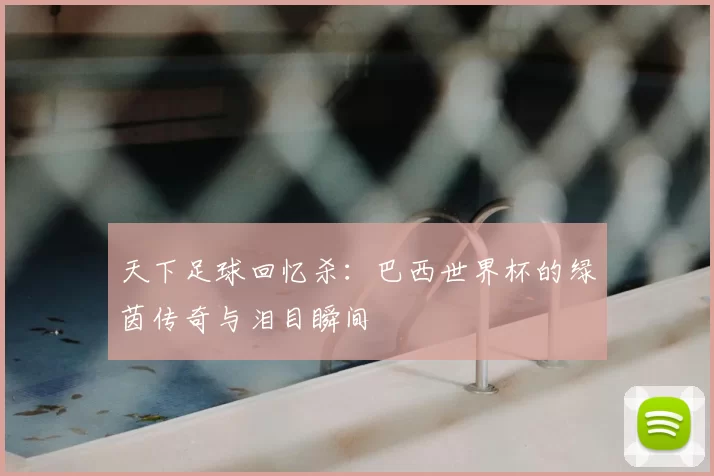 天下足球回忆杀:巴西世界杯的绿茵传奇与泪目瞬间