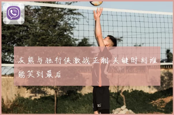 灰熊与独行侠激战正酣 关键时刻谁能笑到最后