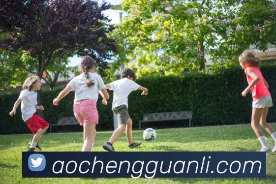 多媒体互动体验